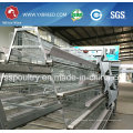 Bird Cage for Hot Sale to Algeria and Africa